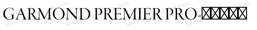 GARMOND PREMIER PRO字体转换